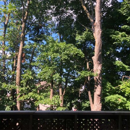 For Lease - 119 D'ambrosio Drive Unit# 22, Barrie, Ontario - Photo 3