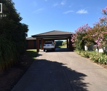 WELL PRESENTED THREE BEDROOM HOME - Photo 3