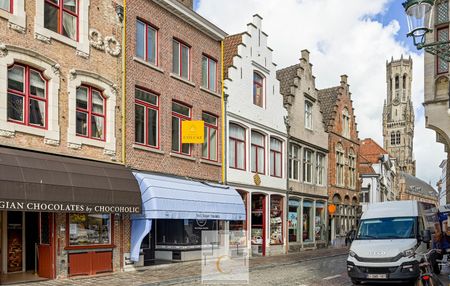 duplex appartement met zonneterras en zicht op Groenerei - Photo 3