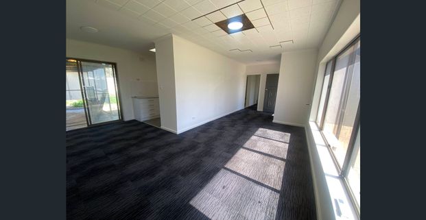 Newly renovated open plan living - Photo 1