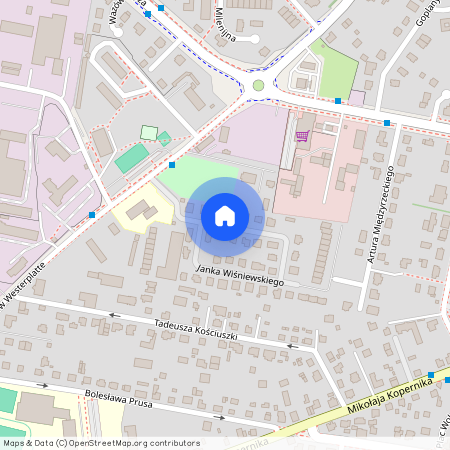 ul. Janka Wiśniewskiego, Pruszcz Gdański, gdański, pomorskie