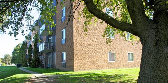 Dawson Rd Apartments - Photo 2