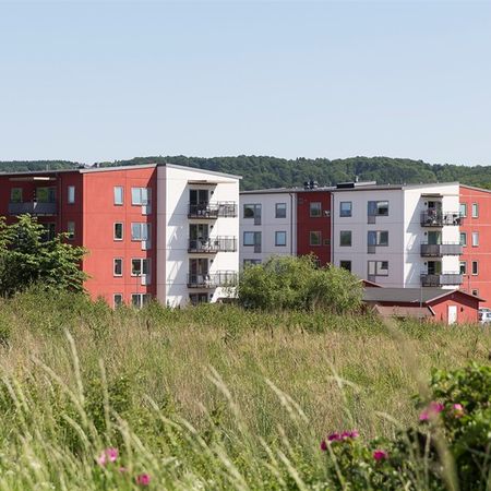 Langetoftsvägen 6 - Foto 4