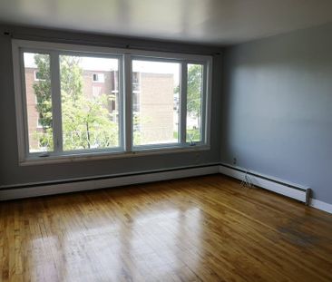 Disponible Le 1er MAI - Photo 2