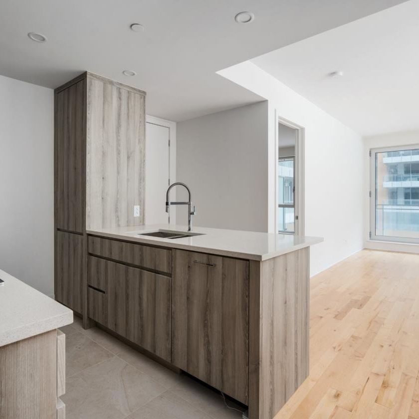 Condo for rent, Montréal (Ville-Marie) - Photo 1