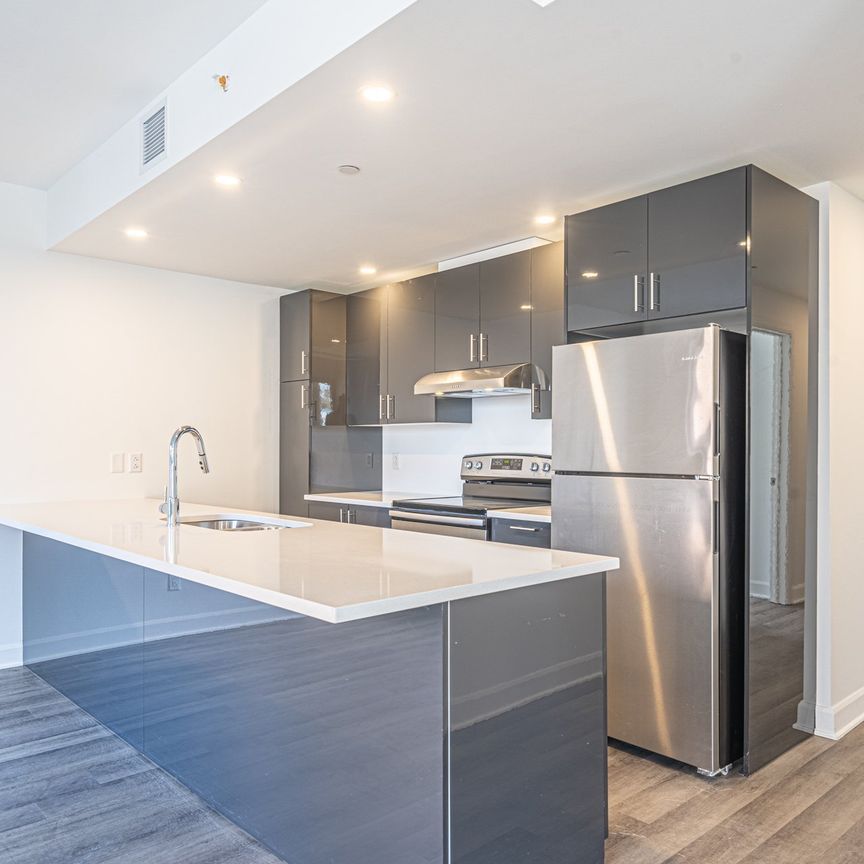 8125 Boul. St Laurent, Brossard, QC J4X - Photo 1
