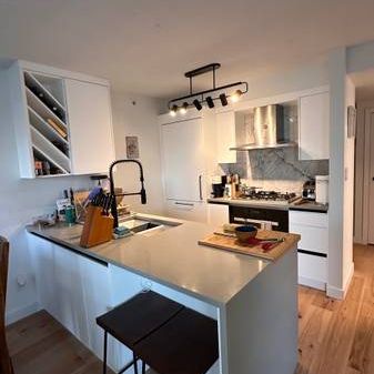 Fully Renovated Spacious Furnished One Bedroom with Stunning View - Photo 1