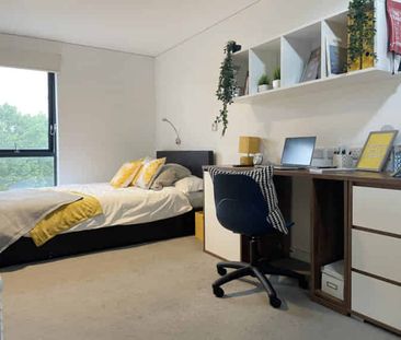 Classic Studio - Private Access - Photo 6