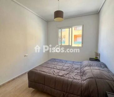 Piso en alquiler en San Miguel de Salinas - Foto 6