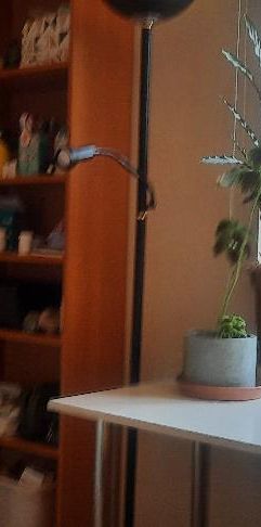 Rum i lägenhet - Photo 1