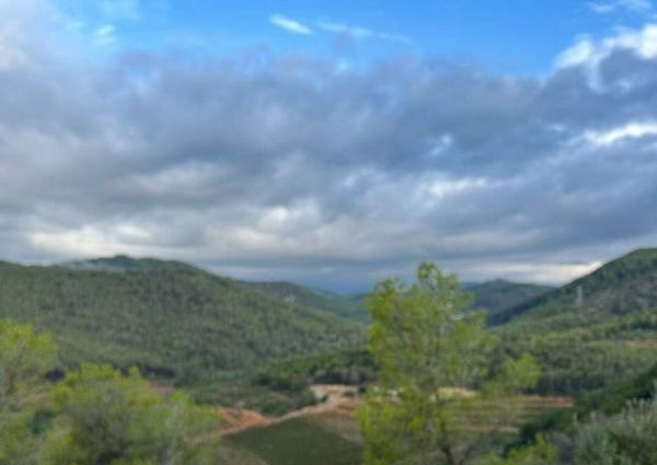 Sant Pere de Ribes, Catalonia 08810