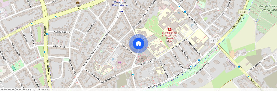 Altenhöfener Straße 28, 44623 Herne