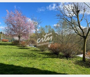 Szczecin - Фото 6