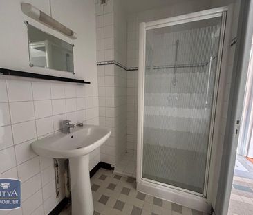 Location Appartement 2 pièces 50m² GRENOBLE 38100 - Photo 3