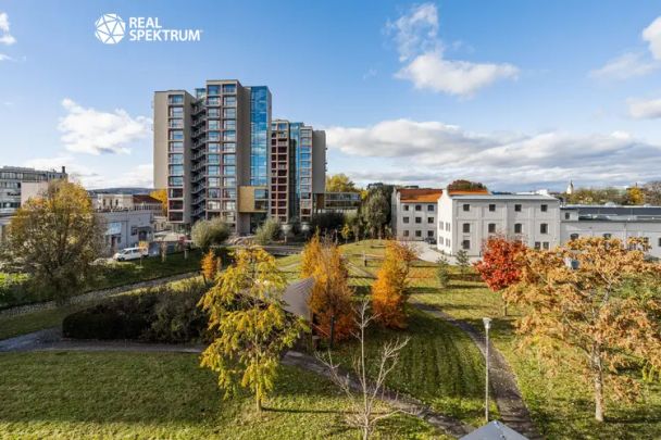 Pronájem moderního 2+kk (Deluxe) u Vaňkovky – BEZ PROVIZE! - Photo 1