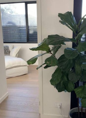 The best of bayside living - Photo 4