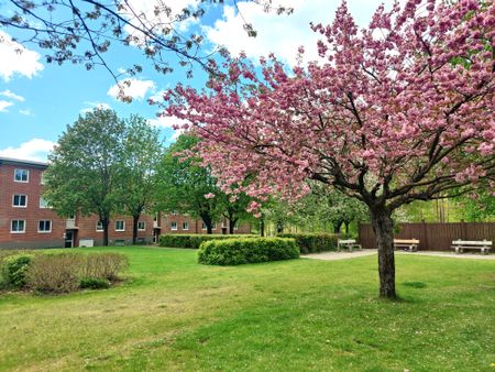 Sonnarpsvägen, Örkelljunga - Photo 3