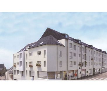 Location Appartement 1 pièce 33m² ST HERBLAIN 44800 - Photo 3