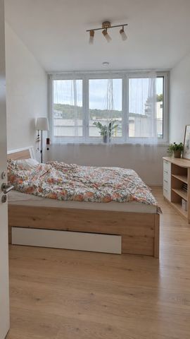 1 Zimmer, 91 m², EG - Foto 3