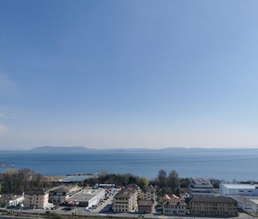 3.5 Zimmer, 98 m², EG - Foto 4