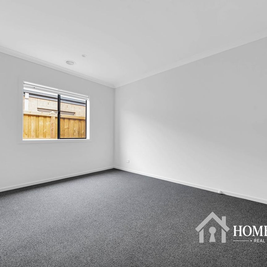 Spacious & Stylish Family Living on a Generous Block - Photo 1