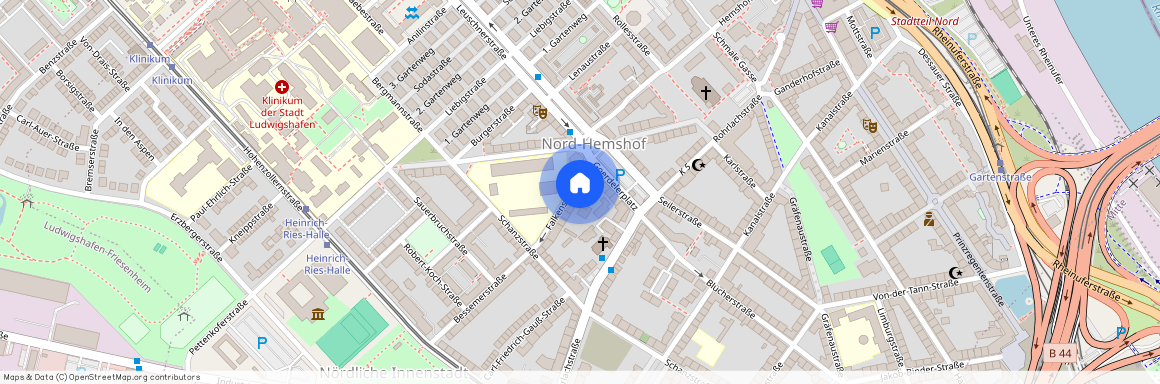 Falkenstraße 5, 67063 Ludwigshafen