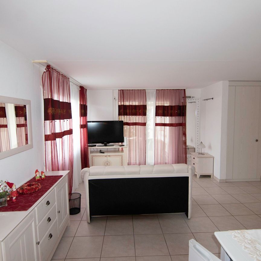 2.5-room furnished apartment with terrace - Photo 1