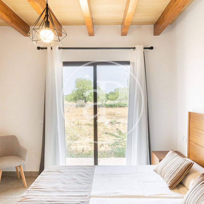 Villa for rent in Santanyí - Photo 1