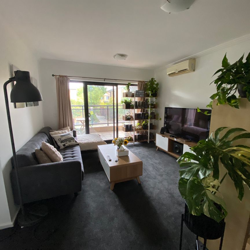 Caulfield East - Photo 1