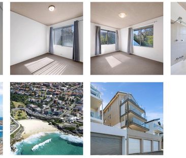 Tamarama - Photo 4