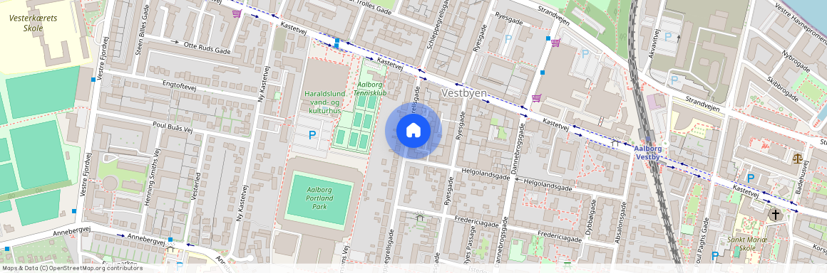 Schleppegrellsgade 46, 4. th., Aalborg