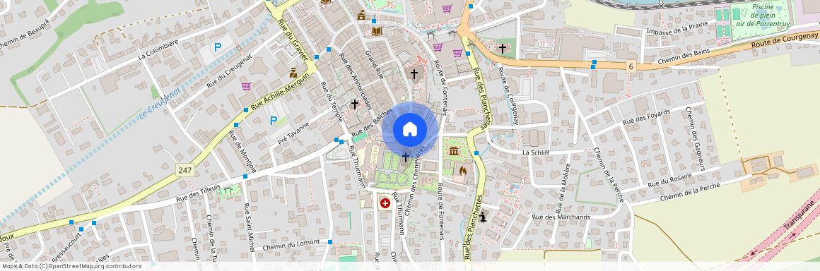 2900, Porrentruy, Rue du college, 27