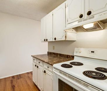 Classic Suite - 1 Bedroom - Photo 1