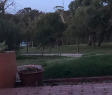 Devon Meadows - Photo 6