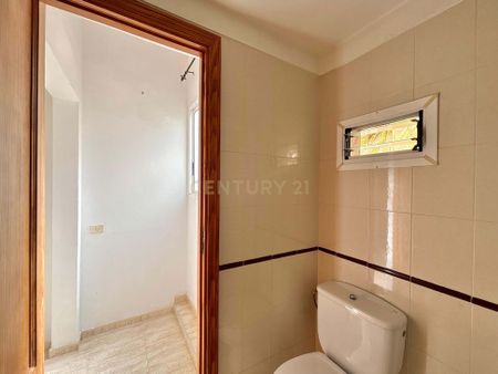 Santa Cruz de Tenerife, Canary Islands - Photo 3