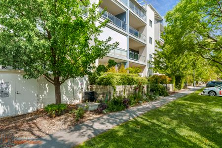 29/10 Burke Crescent, Kingston ACT 2604 - Apartment For Rent | Domain - Photo 5