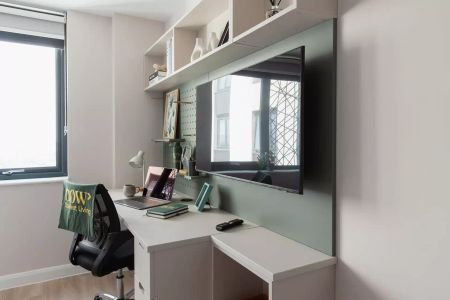 Platinum Studio (Mid Floors) - Photo 3