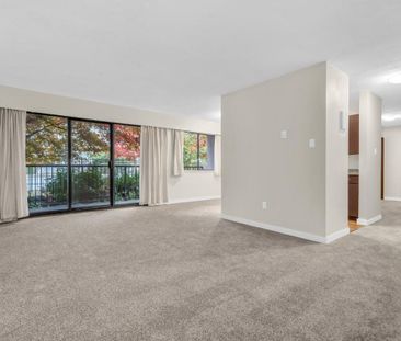 Maple Manor Apartments - Photo 4