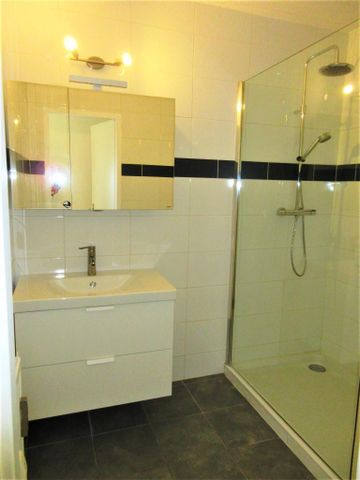 Appartement 1 chambre entièrement rénové - Foto 5