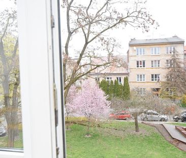 Do wynajęcia mieszkanie 23,55 m² z antresolą – Rynek Dębnicki - Zdjęcie 3