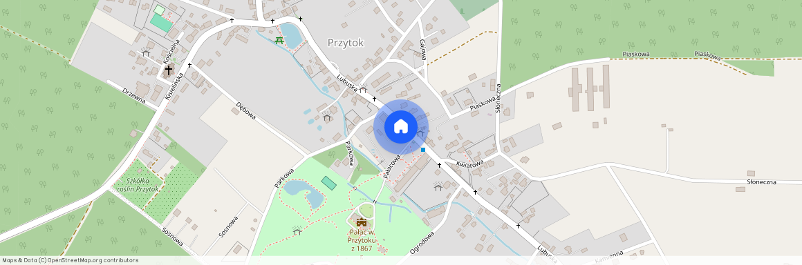 Przytok