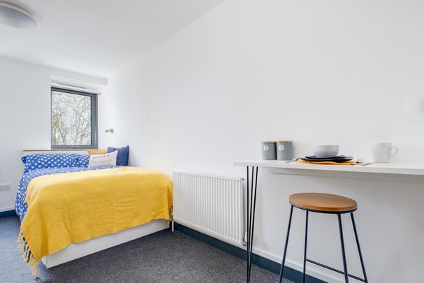 Studio to rent - Photo 1