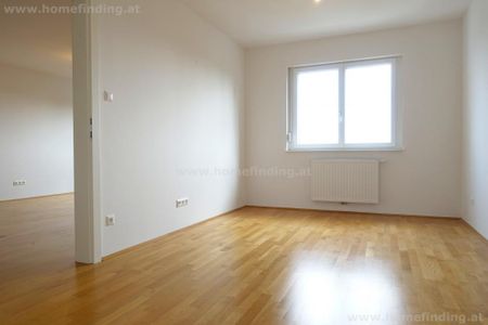 schöne 2 Zimmer am Rande des Hörndlwaldes - 5 Jahre befristet - Photo 2