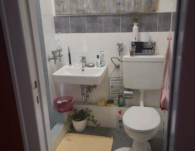 Einliegerwohnung zu vermieten für ein Jahr - Photo 1