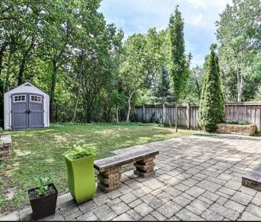 For Lease - 61 Timber Valley Avenue Unit# Bsmt, Richmond Hill, Ontario - Photo 5