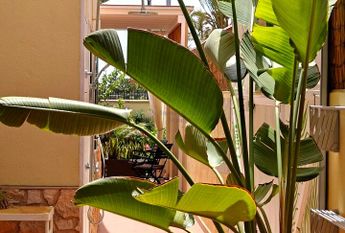 For Rental: 2-Bedroom Semi-Detached House in Las Rosas