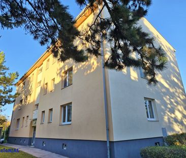 tolle 2 Zimmer Wohnung, extra Küche - Photo 6