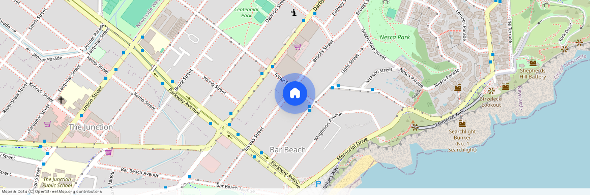 145 Brooks Street, NSW 2300, Bar Beach