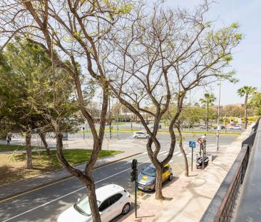 Murcia - Photo 4