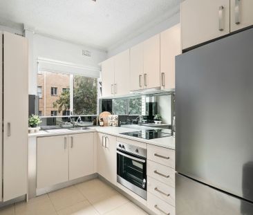 Sunny and Stylish First Floor Apartment - Photo 3